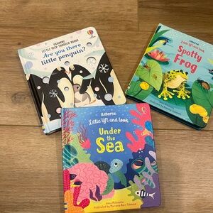 Usborne Children's Board Books Set